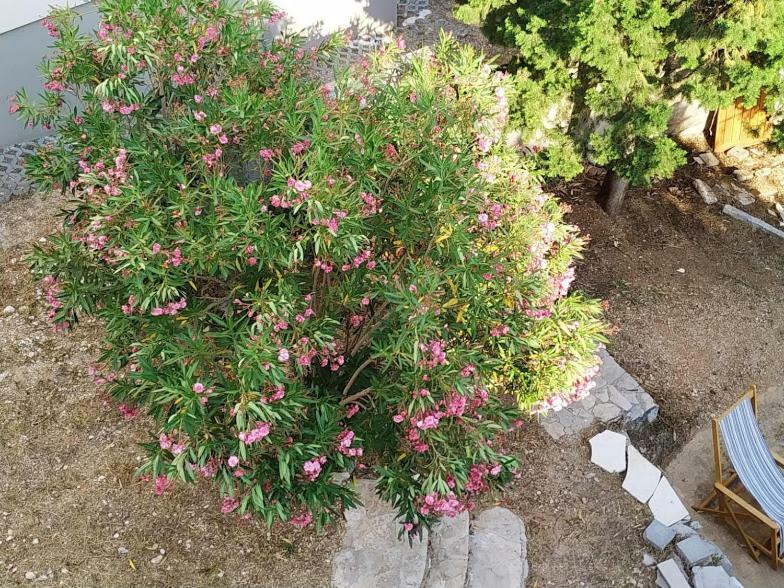 Apartments Kupine Bol Dış mekan fotoğraf